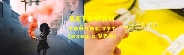 прущие грибы Бородино