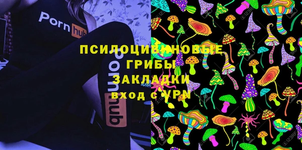 прущие грибы Бородино