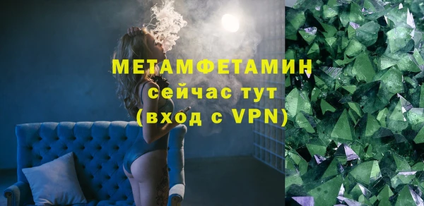 прущие грибы Бородино