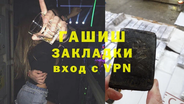 прущие грибы Бородино