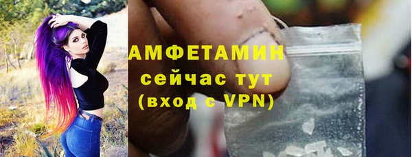 прущие грибы Бородино