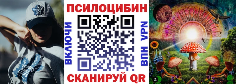 Галлюциногенные грибы Cubensis  ссылка на мегу tor  Черемхово 